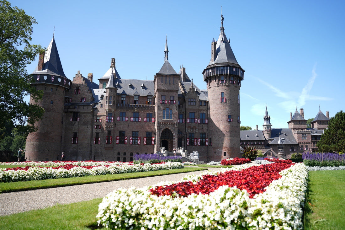 Four Wheels, Two Bikes, One Castle: A Dutch Summer Escape