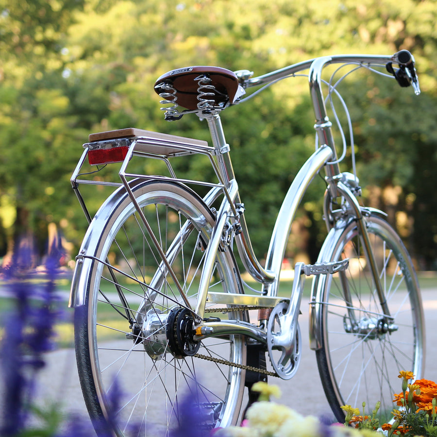 AOI.CYCLE Stainless Chain Guards