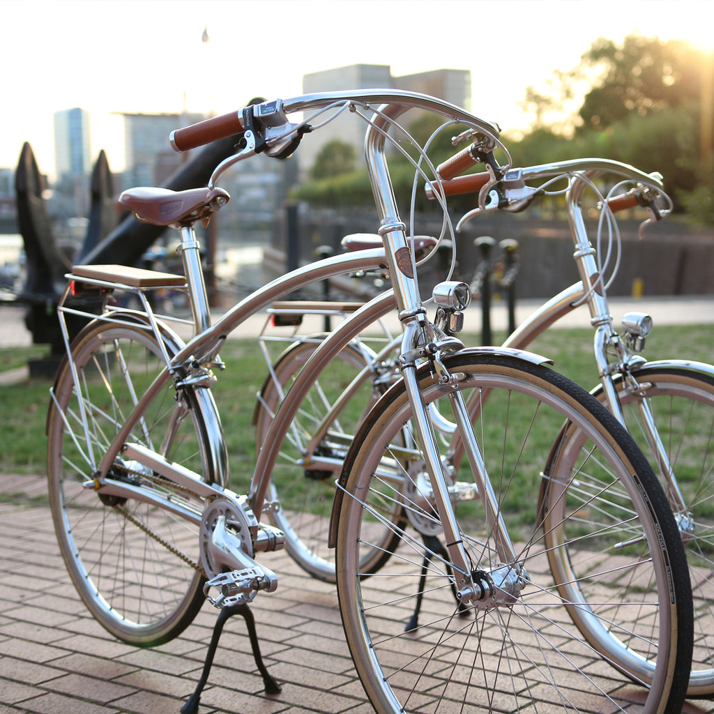 AOI.CYCLE Stainless Chain Guards